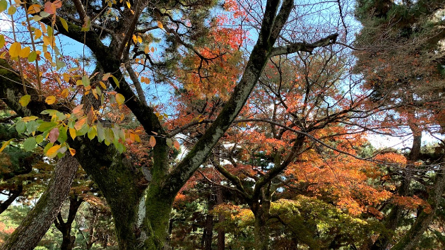 冬至までに必要な事