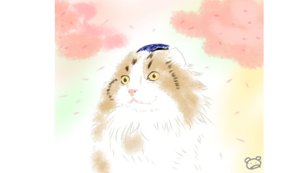 カバー画像
