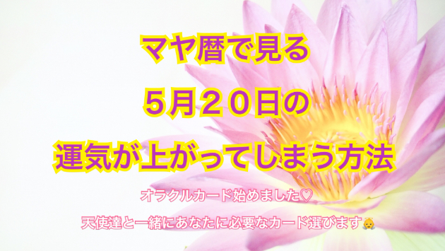 ５月２０日のシンクロの起こし方と運気が上がってしまう方法☆彡