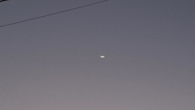 月の灯り🌙