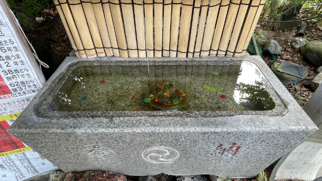 第58回　日盤吉方取り…江北氷川神社＆鷲神社（東京都足立区）