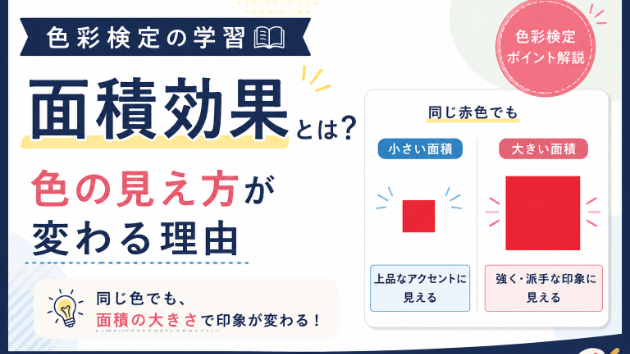 色彩検定で学ぶ「面積効果」とは？色の見え方が変わる理由