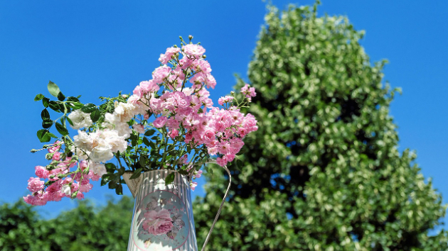 ❁【裏切り】...人を信じることは怖いことですか❁