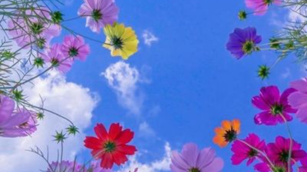 真実の言葉 927【神との友情】