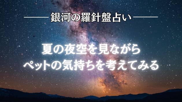 カバー画像