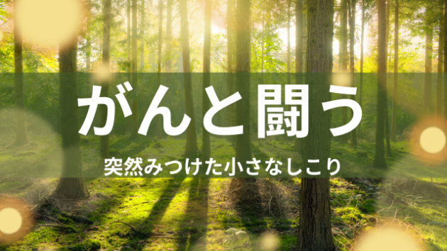 私と乳がんの出会い（検診だけで安心してはいけない）
