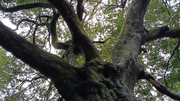 もっともっと、自分を大切にしていい！☺️🌿✨️
