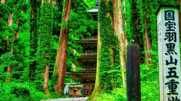 華やかな世界の人たちが、私を慕ってへ来る理由