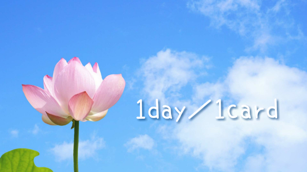 今日の１card 21年7月7日 水 七夕 蓮寿 Coconalaブログ