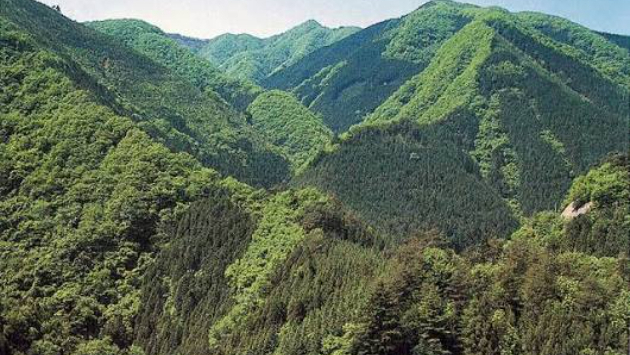 第223回　女性「山（戊）」と男性「山（戊）」の相性