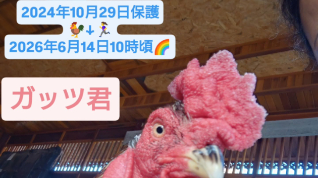 カバー画像