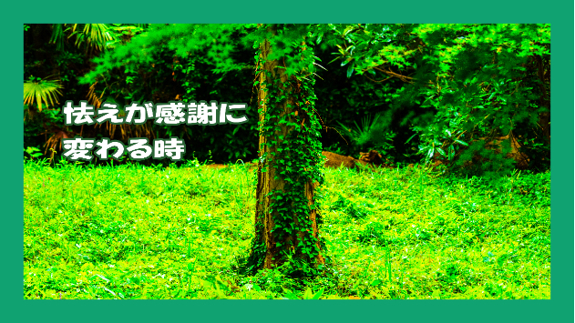 怯えが感謝に変わる時