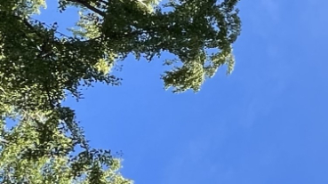 初めまして