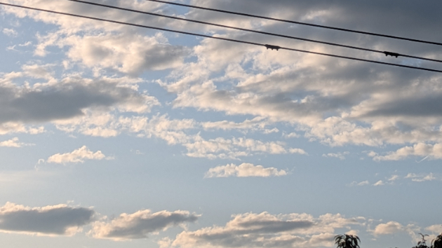 今日の空