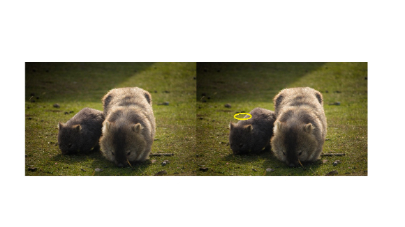 こういう状態なのだと思う