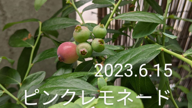 カバー画像