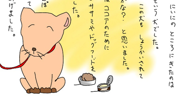 絵本「にいにのおよめさん」P19-20