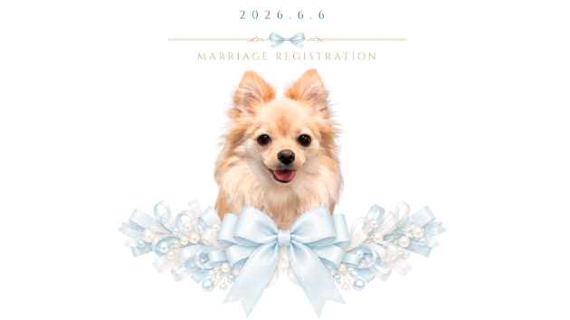 ＊うちの子婚姻届＊
