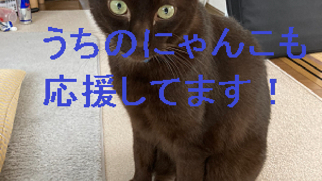 カバー画像
