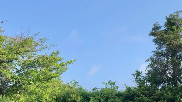 ☆焦りは禁物☆令和８年7月21日（火） 先勝☆