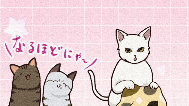 新サービスを出品しました！