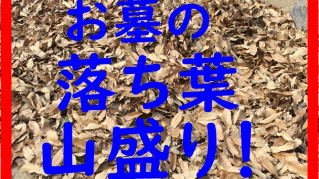 墓参りで開運♪