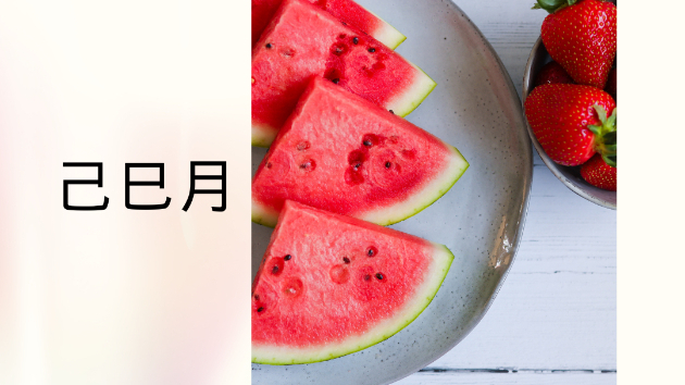 己巳月