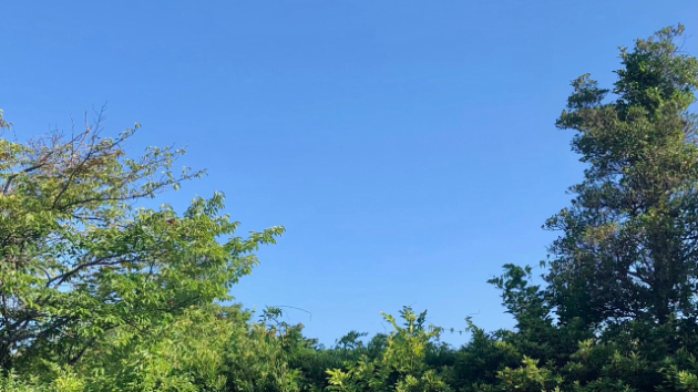 ☆深呼吸☆令和８年7月10日（金）  赤口☆