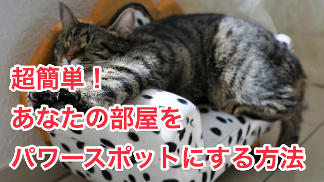カバー画像