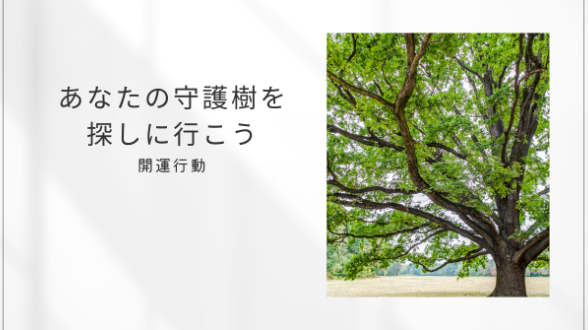 あなたの守護樹を探しに行こう