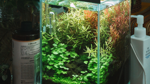 新品　廃盤希少　ADAソーラーミニと水槽 新品 廃盤希少 ADAソーラーミニと水槽 ADA ソーラー・ミニ ブラック