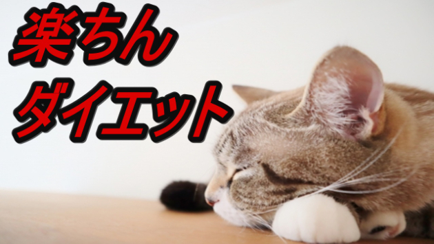 ダイエットは楽して痩せましょう