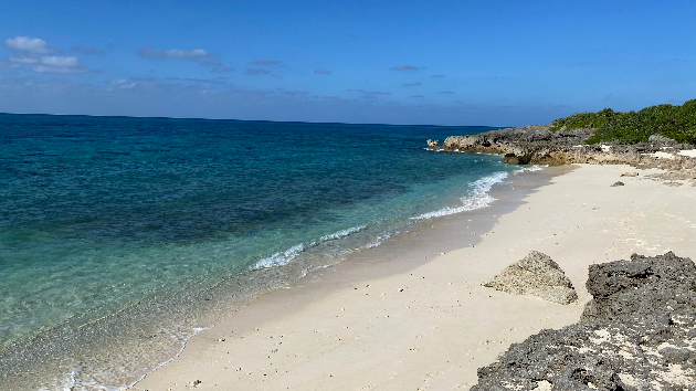 マイトレーヤ〜スピリチュアルな目覚めを促す｜MK yoga and healing｜coconalaブログ