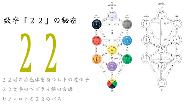 22という数字の秘密【占い知識】|占い師Elysa_CROwirt|coconalaブログ