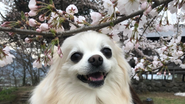 おはようございます！