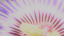 ・❤時の流れの中のあなたの時間軸