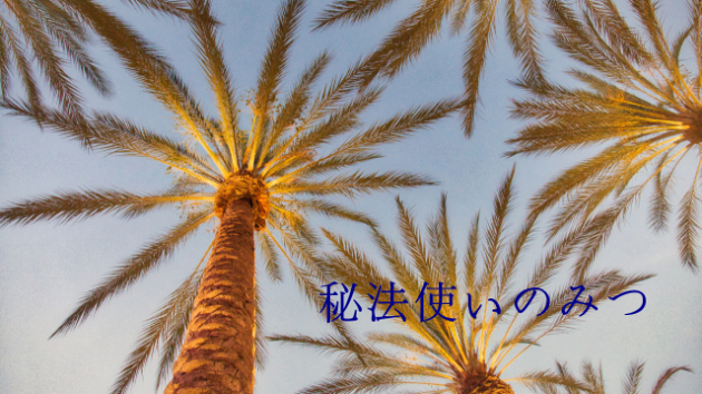 悩みや問題は、例外無く全て”あなたの中”で起こっています。この事が分かれば全ての悩みは解決します。