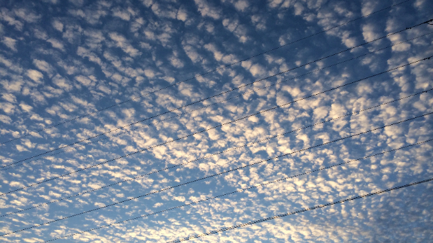 ゆるやかにおだやかに｜momineco｜coconalaブログ