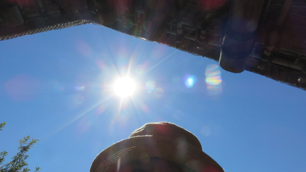 神の眼で観てみましょう！私を通してお話ししませんか？｜ さゆみこスピリチュアル鑑定士 朱音｜coconalaブログ