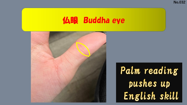 三眼 ブッダアイ 仏眼 上肯龍紋仏像九眼天珠 八眼 十三眼 意味や