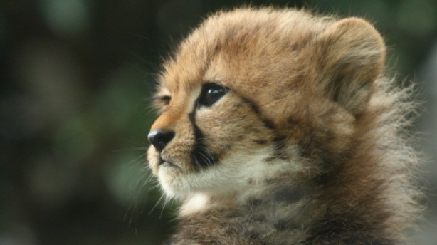 自分の親が 合わない と思ったら した方が良いこと オーラ解析 悠美光里 ゆうみ ひかり Coconalaブログ