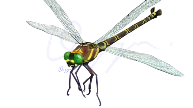 ご依頼】テイオウムカシヤンマ描きました！｜応魚ougyo｜coconalaブログ