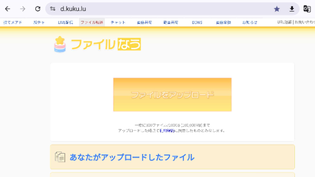 活動歴および当時の関連ビジュアル記録