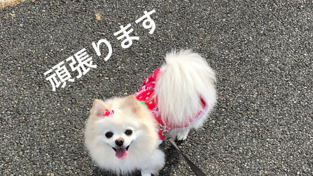 はじめました！