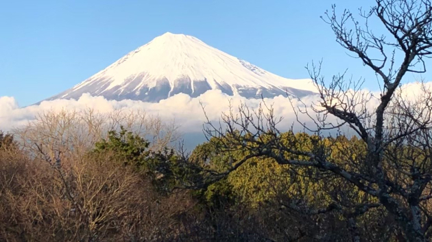 カバー画像