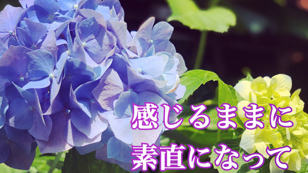 こんなこと思っちゃいけない？