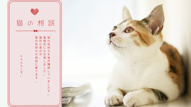 【猫検定合格者が聞く！猫の気持ち】